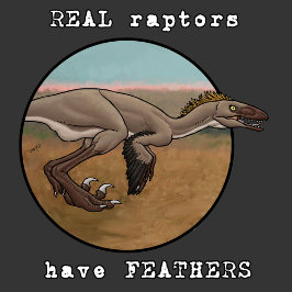 Verkliga Raptors T Shirt