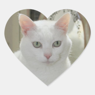 Verkliga Söt Cat Princess Hjärtformat Klistermärke