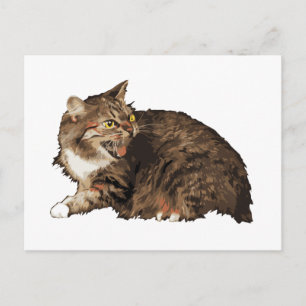 Verkligen Arg Katt Vykort