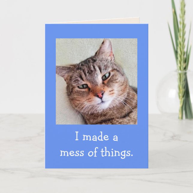 Verkligen beklagar Cute Cat Apology Kort (Framsida)