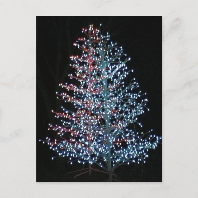 Verkligen Bright! Vykort (Framsida)