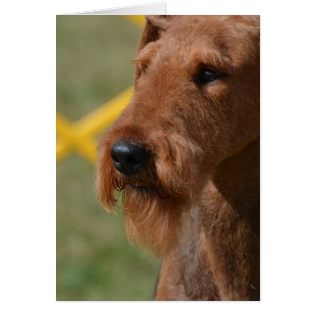 Verkligen Cute Airedale Terrier Hälsningskort (Framsidan)