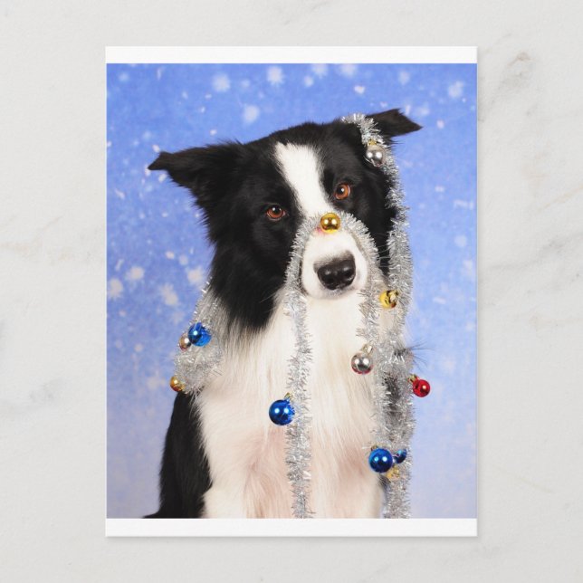 Verkligen? Vykort (Framsida)