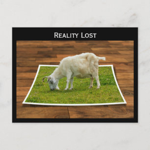 Verklighet Borttappad Goat Grazing on Papper Grass Vykort