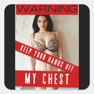 VERKTYG CHEST VARNING STICKERS FYRKANTIGT KLISTERMÄRKE