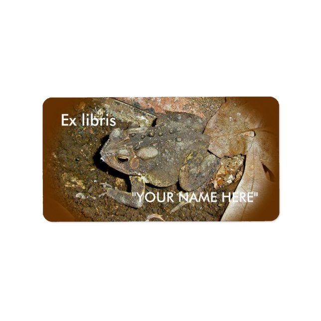 Verktyg för koordinering av objekt Ex libris-fästp Adressetikett (Framsidan)
