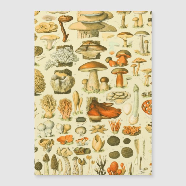 Verktyget Vintage Toadstool Antique Illustration (Framsida)