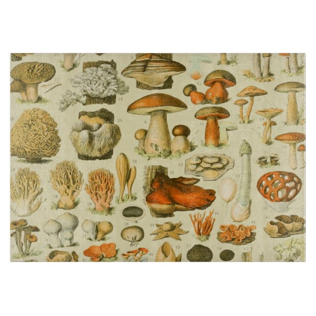 Verktyget Vintage Toadstool Antique Illustration (Framsidan)