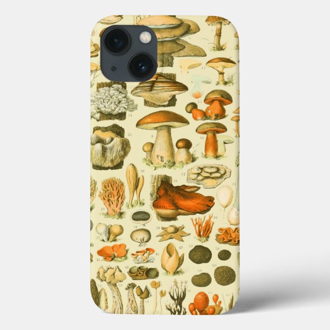Verktyget Vintage Toadstool Antique Illustration (Baksida)