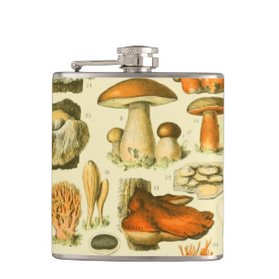 Verktyget Vintage Toadstool Antique Illustration Fickplunta