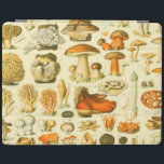 Verktyget Vintage Toadstool Antique Illustration iPad Skydd<br><div class="desc">Svampar - Denna bild av svampar bygger på en antikt vetenskaplig Adolphe Millot-litteratur. Adolphe Millot var ledande illustratör vid det nationella naturhistoriska museet i Paris. I Fransken illustrerades ordlistan "Le Petit Larousse Illustré" som publicerades första gången 1905.</div>