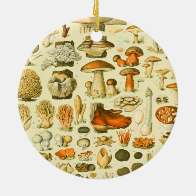 Verktyget Vintage Toadstool Antique Illustration Julgransprydnad Keramik (Baksidan)