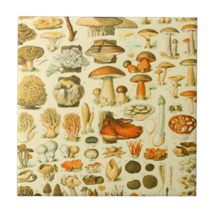 Verktyget Vintage Toadstool Antique Illustration Kakelplatta