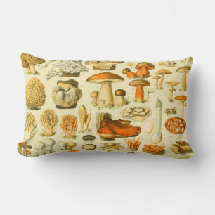 Verktyget Vintage Toadstool Antique Illustration Lumbarkudde