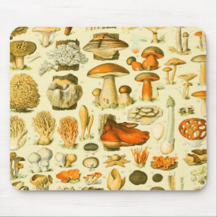 Verktyget Vintage Toadstool Antique Illustration Musmatta