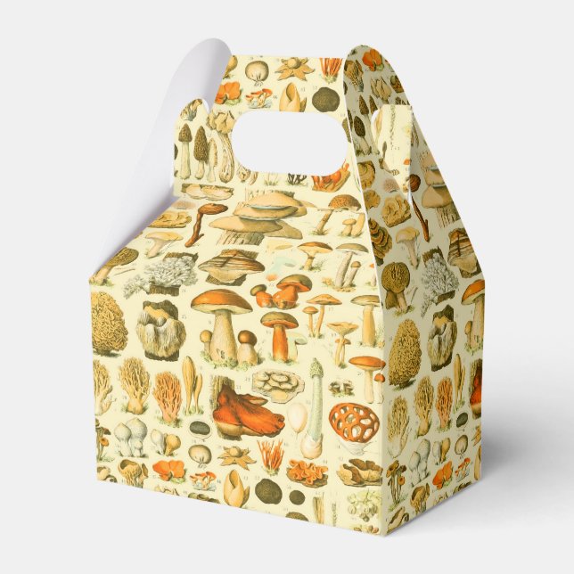 Verktyget Vintage Toadstool Antique Illustration Presentaskar (Framsidan Sidan)