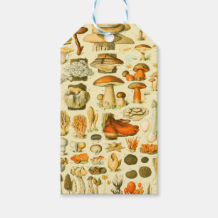 Verktyget Vintage Toadstool Antique Illustration Presentetikett