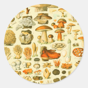 Verktyget Vintage Toadstool Antique Illustration Runt Klistermärke