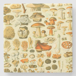 Verktyget Vintage Toadstool Antique Illustration Stenunderlägg