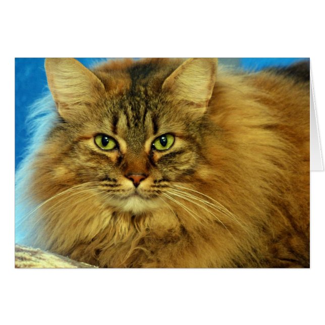 Verktygskort Hälsningskort (Framsidan Horizontal)