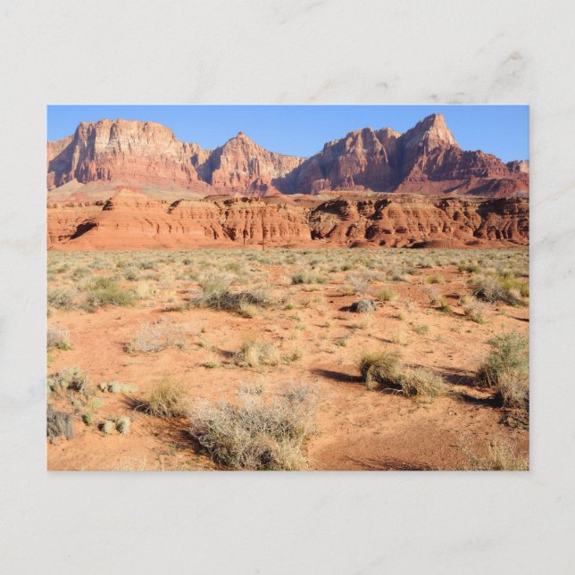 Vermilion Cliffs National Monument Vykort (Framsida)