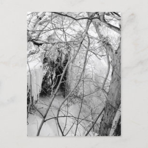 Vermilion Falls Postcard Vykort