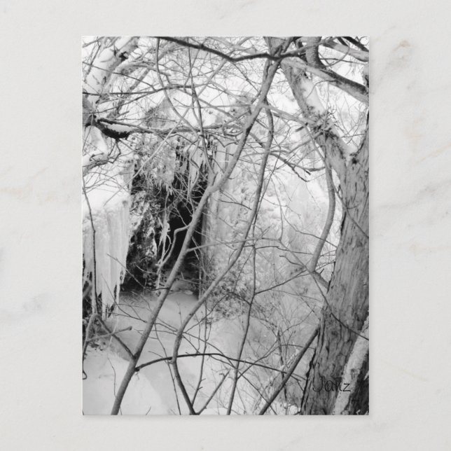 Vermilion Falls Postcard Vykort (Framsida)