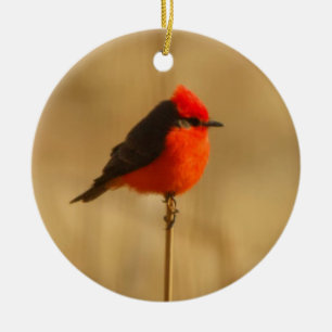 Vermilion Flycatcher Julgransprydnad Keramik