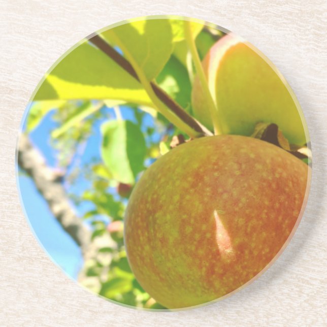 Vermont Apple Underlägg Sandsten (Framsidan)