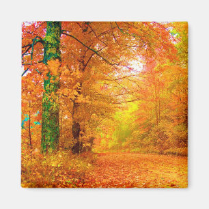 Vermont Autumn liggande Magnet