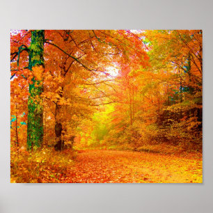 Vermont Autumn Natature Ligcape Fine Art Poster