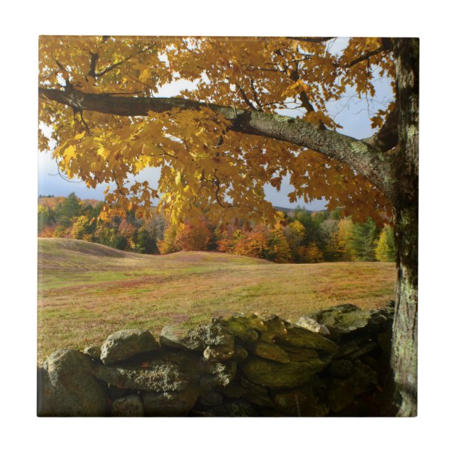 Vermont Autumn View Tile Kakelplatta (Framsidan)