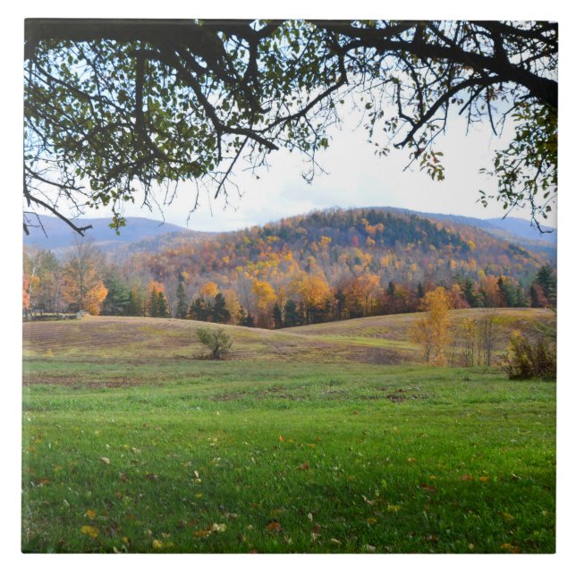 Vermont Backe Ceramic Tile Kakelplatta (Framsidan)