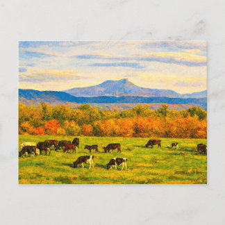 Vermont Camels Hump Postcard Vykort
