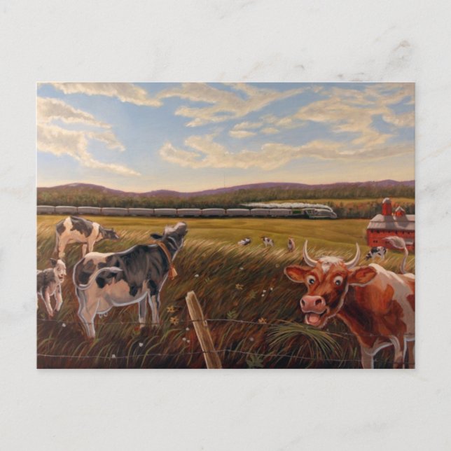 Vermont Cow vykort (Framsida)