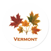 Vermont Fall Foliage - Maple Löv