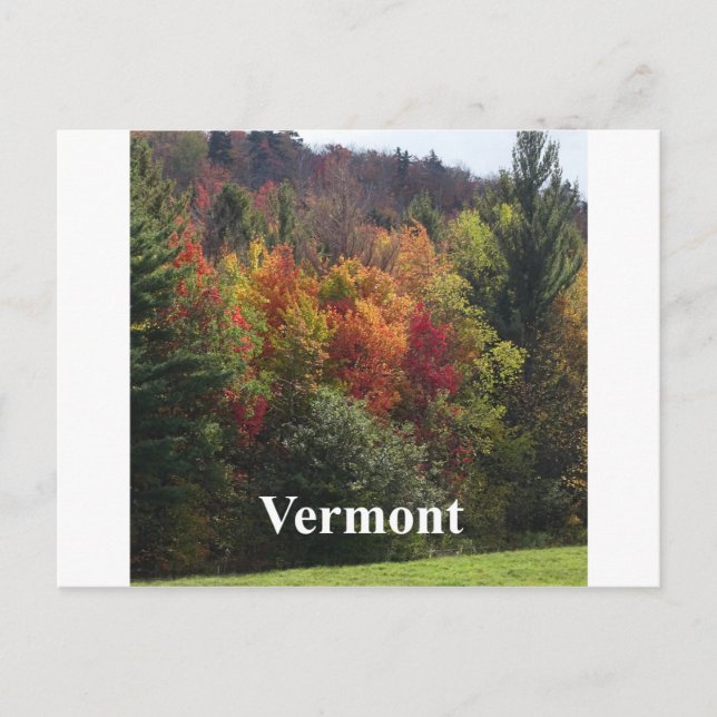 Vermont Färg Vykort (Framsida)