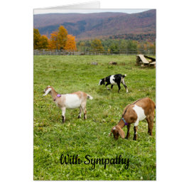 Vermont Goats Sympathy Card Hälsningskort