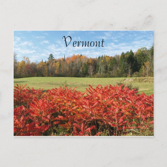 Vermont i Färg Vykort (Framsida)