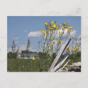 Vermont Land Living Vykort