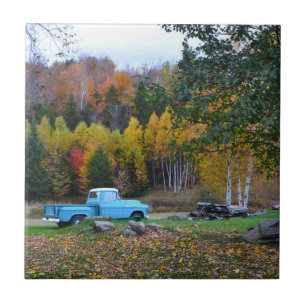 Vermont Land Scene Kakelplatta