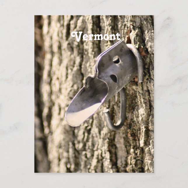 Vermont lönn tapping vykort (Framsida)