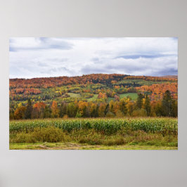 Vermont majsfält på hösten poster