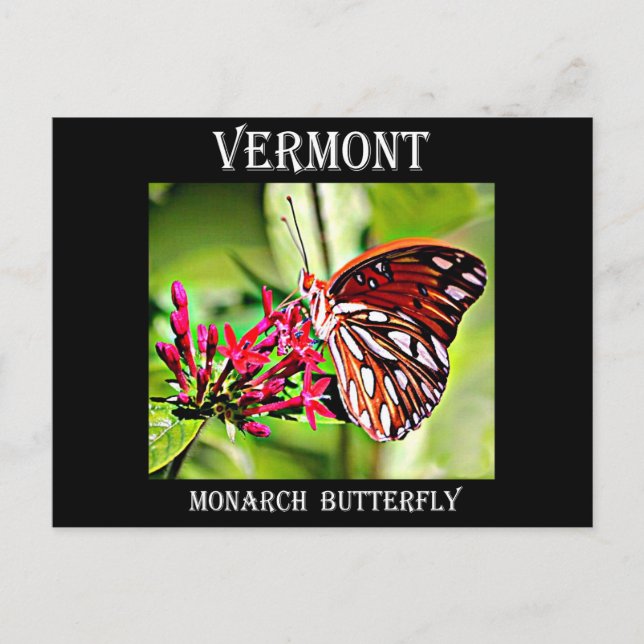 Vermont Monarch Butterfly Vykort (Framsida)