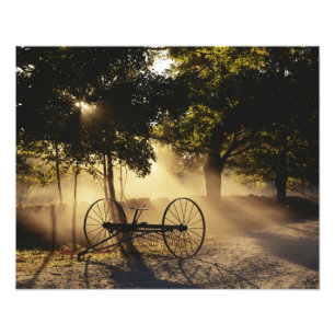 Vermont, Northeast Kingdom, Solljus Fototryck