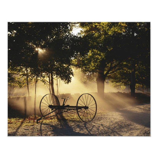 Vermont, Northeast Kingdom, Solljus Fototryck (Framsidan)