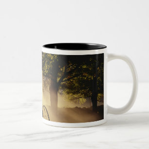 Vermont, Northeast Kingdom, Solljus Två-Tonad Mugg