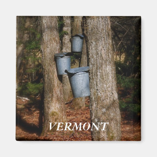 Vermont Sap Bucks Magnet
