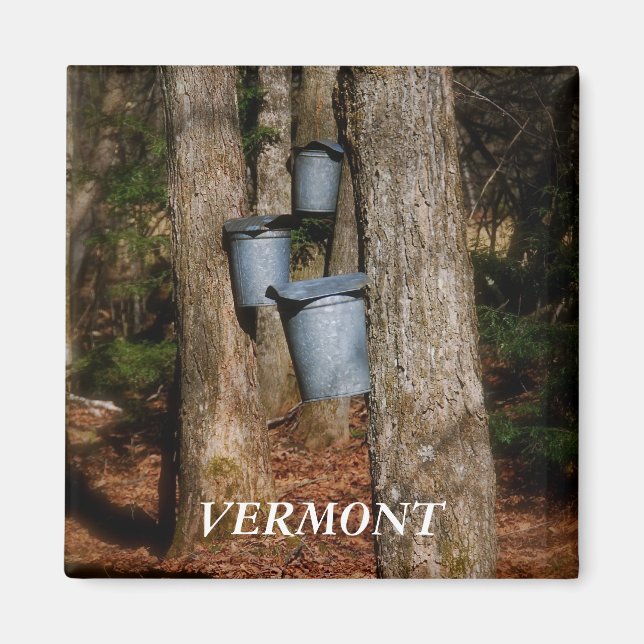 Vermont Sap Bucks Magnet (Framsidan)