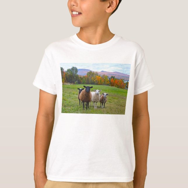 Vermont Sheep på hösten T-shirt (Framsida)